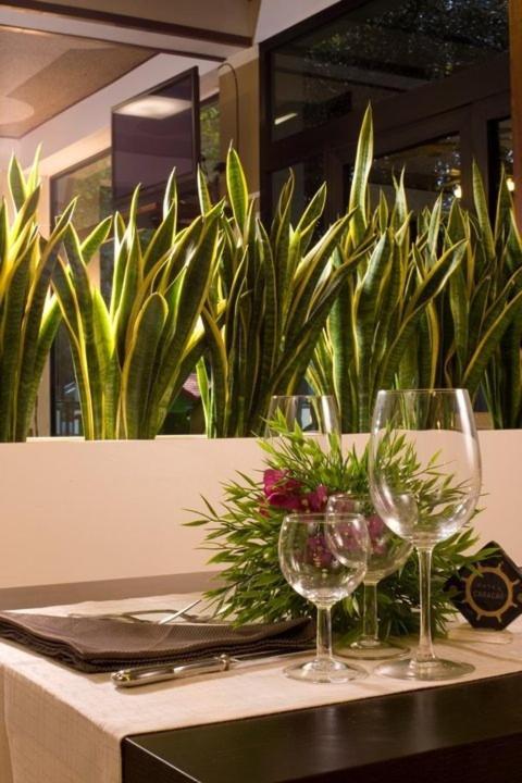Hotel Caracas カットーリカ エクステリア 写真